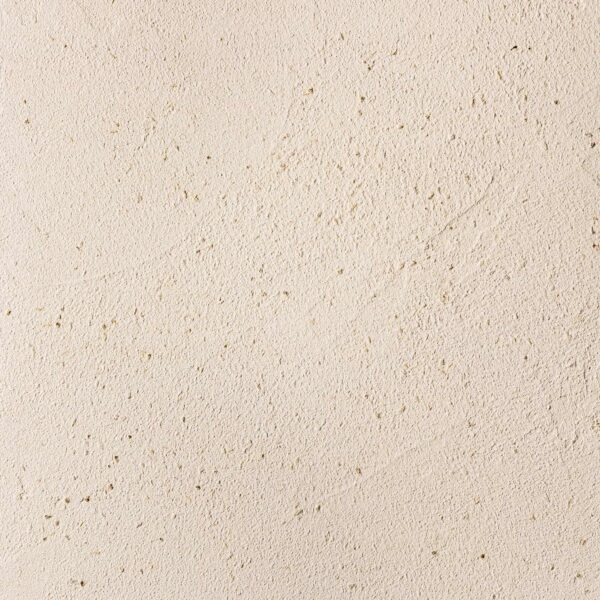 Chamomile - Image 2