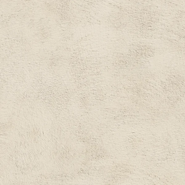Ivory White - Image 2