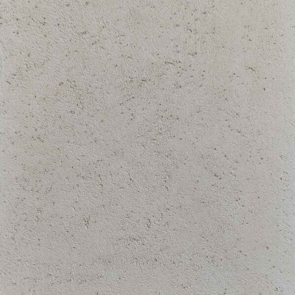 White Apricot - Image 2